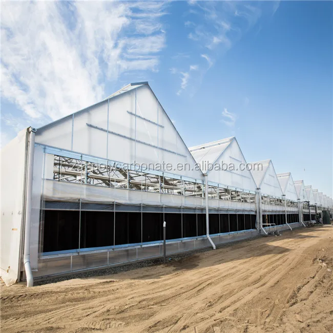 8mm UV  Clear Transparent Polycarbonate roofing panels greenhouse polycarbonate sheets