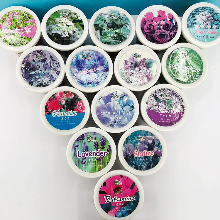 
Potted Plants Grow Baby Flower Growing Creative Home Gardening 