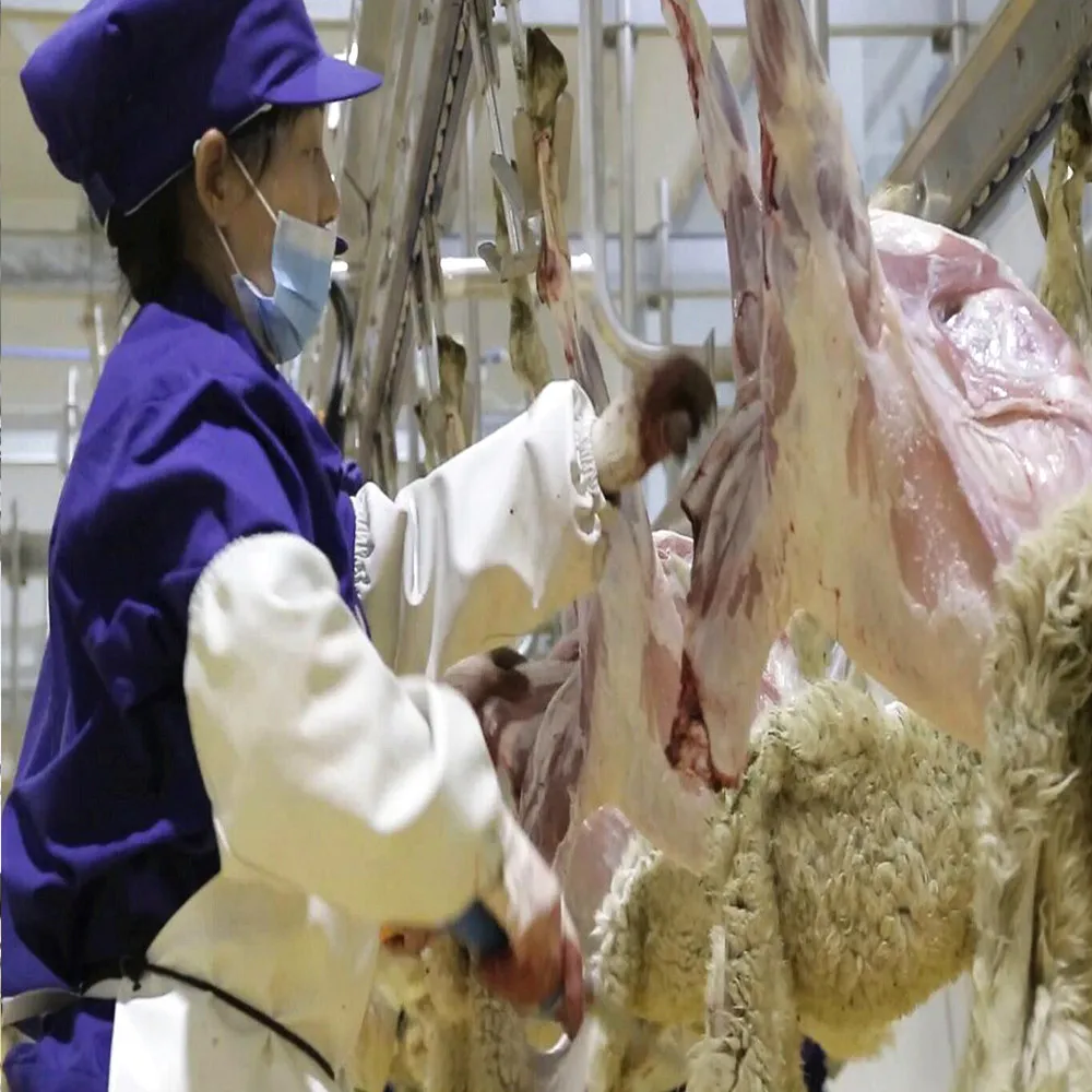 New Complete Halal Sheep Slaughtering Line Equipment for Goat Lamb Butcher Plant Machinery