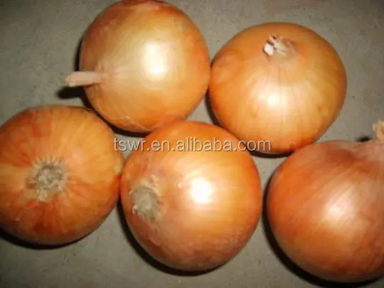 China yellow onion fresh onion red onion