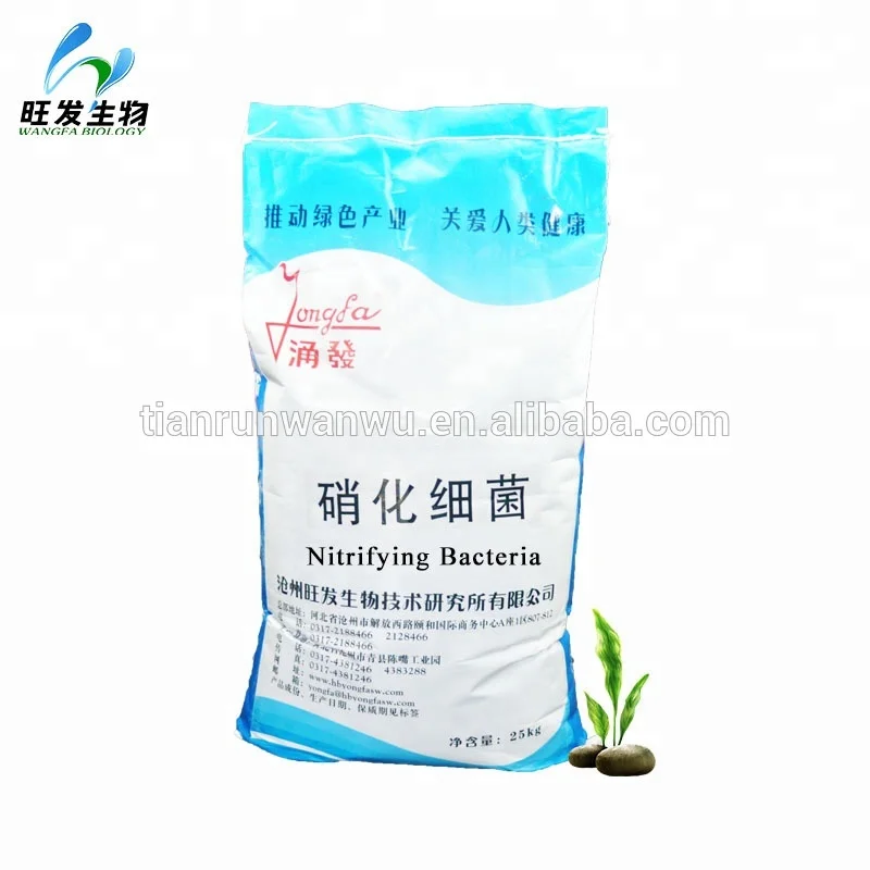 
Nitrifying bacteria for aquatic 