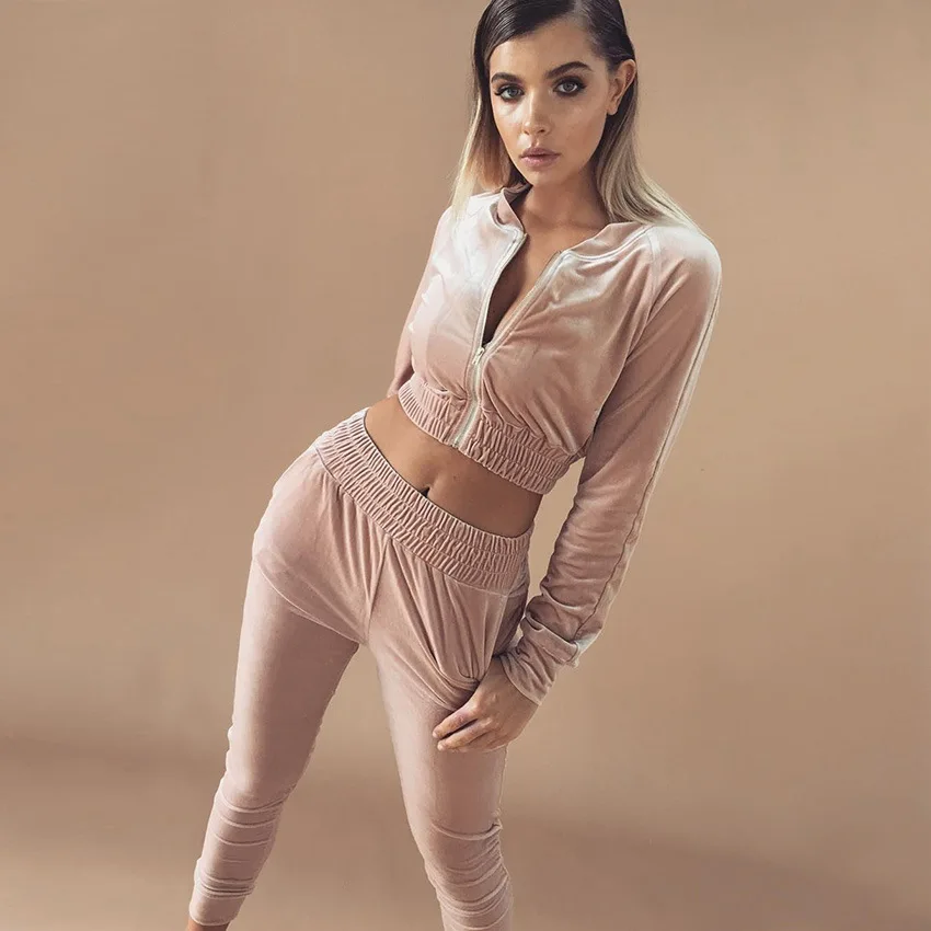 Wholesale Custom Womens velvet 2 pieces set cropped pants set Latest Sport Plain women pink Velour Tracksuit