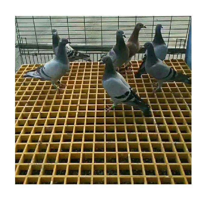 Fiberglass Grate Pigeon Loft FRP Grating