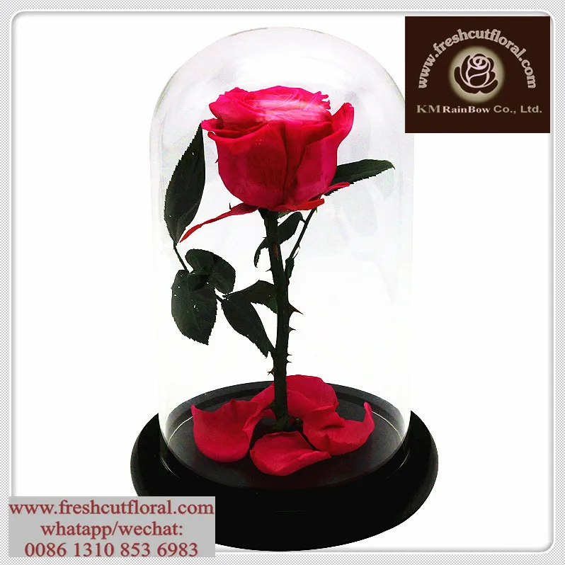 Run-After Undying Preserved- Rose Flowers Sent Out Four Seasons