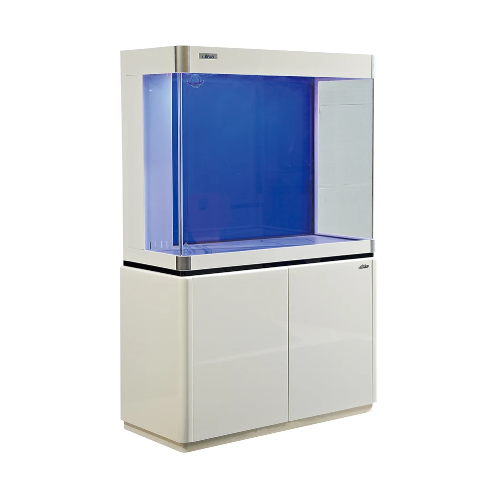 Chinese Supplier Arowana Large Glass Fish Tank