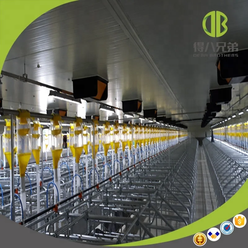 Poultry equipment pig fatten farm project auto feeding system