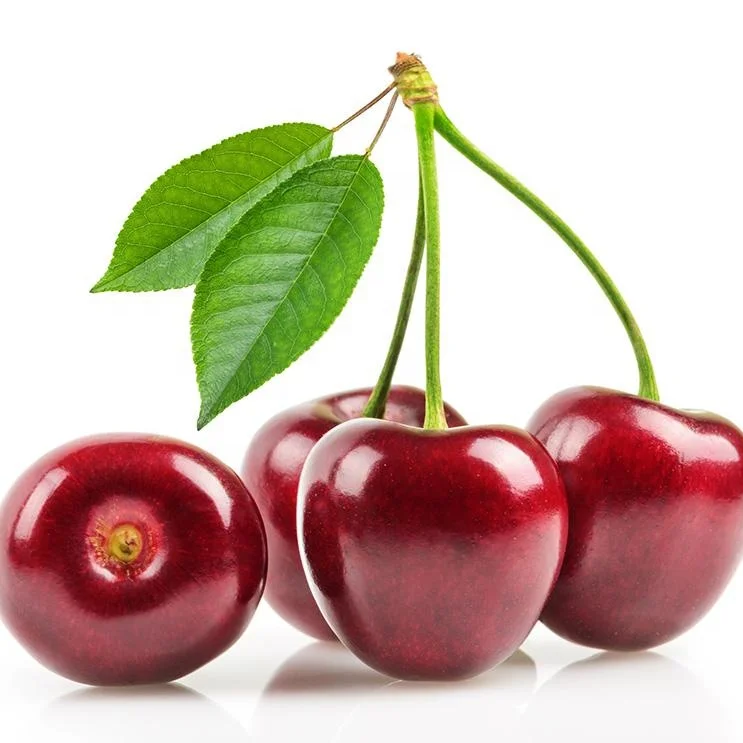 Cerasus pseudocerasus рассады вишни