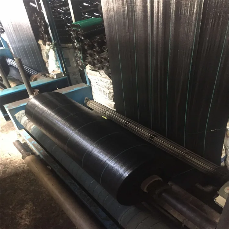 2022 high quality thailand  weed control mat for blueberry