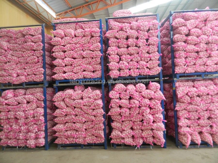 fresh garlic with garlic bag in China