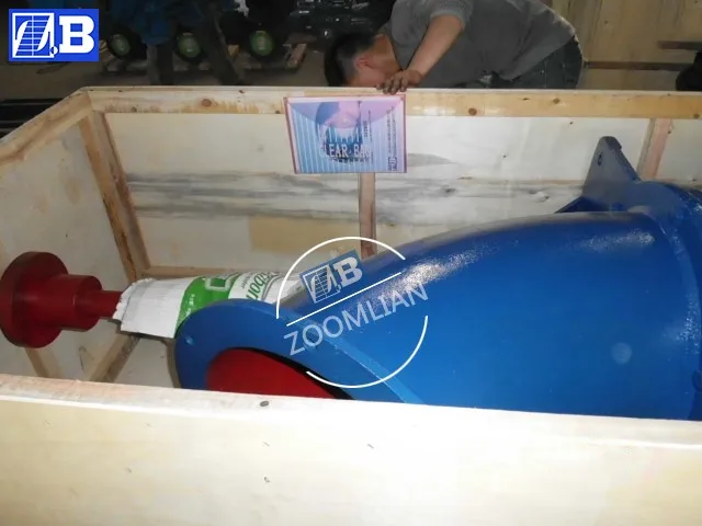 ZLB vertical axial flow propeller pump, clean water pump