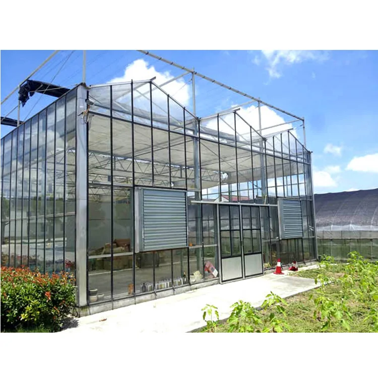 Skyplant Prefabricated Glass Greenhouse for Agriculture