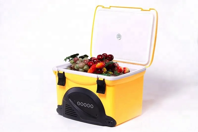 mini cooler box with radio