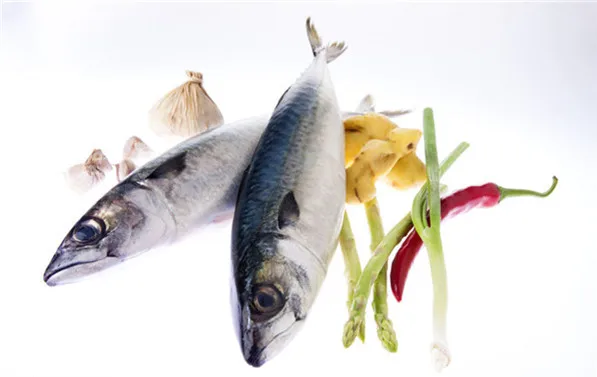 frozen pacific mackerel WR for market