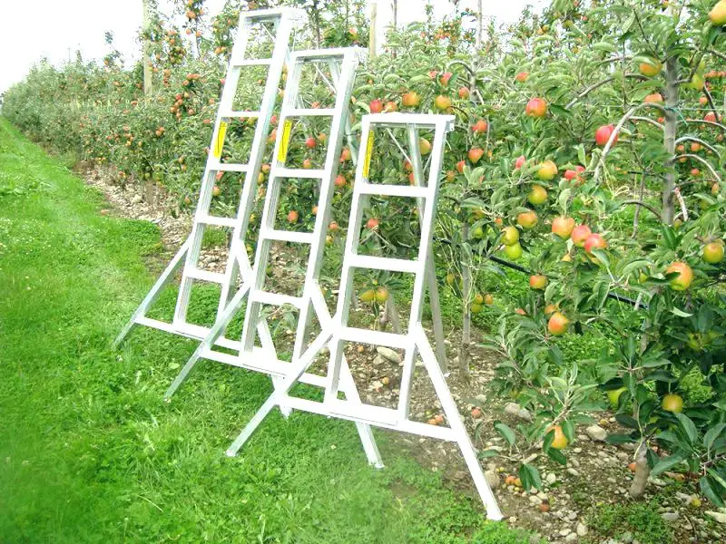 Lightweight orchard ladders aluminum tripod ladder