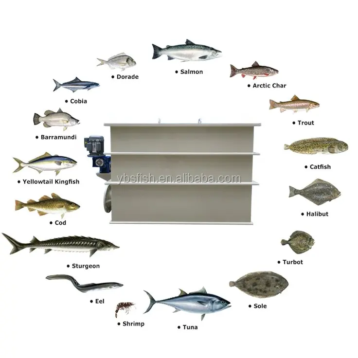 Large flowlate recirculating aquaculture fish farm auto drum filter