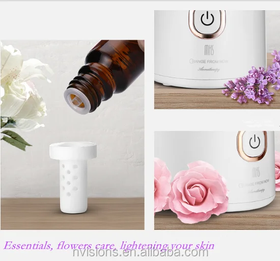Best Design Mini Aroma Essential Oils Warm Facial Steamer NV8308