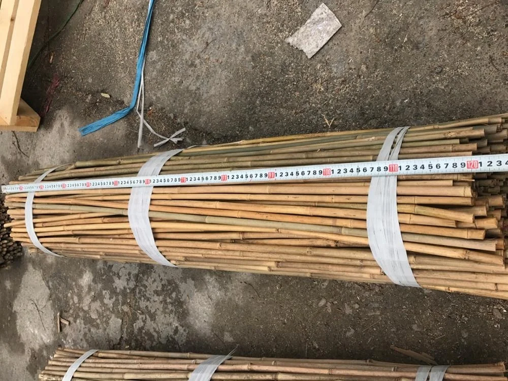 FD-6-20mm diameter Tonkin bamboo poles bamboo sticks for support