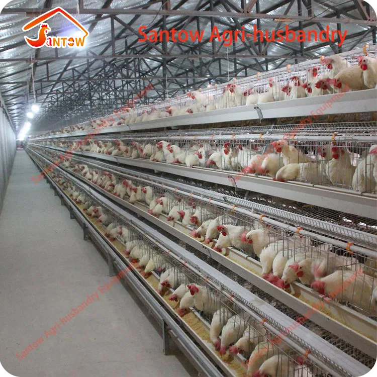 A type 4 tier chicken battery layer cages poultry feeder chain for poultry farm