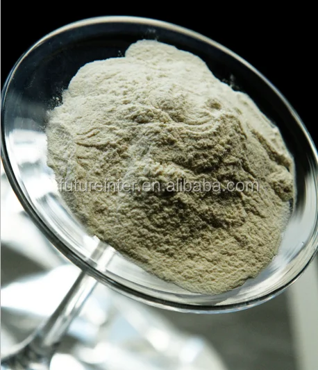 Hot Sale Xanthan Gum Powder Fufeng Brand Oil Drilling Grade Wholesale Price