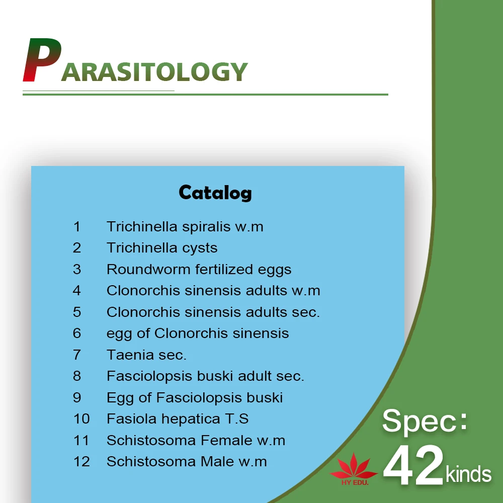 Fixed set University students study 78pieces medical parasite prepared microscope slides
