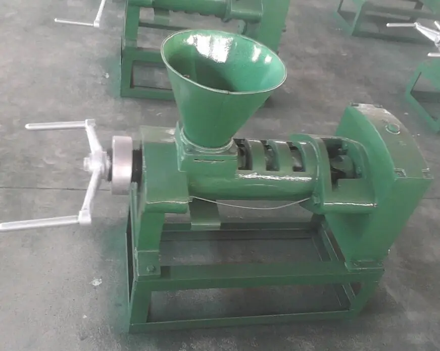 Hemp grape seed oil moringa seed press machine /walnut oil extracting pressing machine