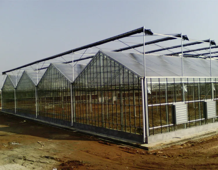 
Smart Commercial polycarbonate garden greenhouse for research 