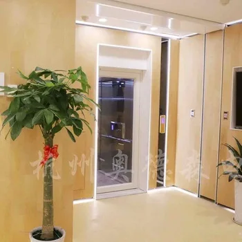 Cheap Home Elevator For 2-5 Person Residential Elevator Home Lift Price With Glass Shaft