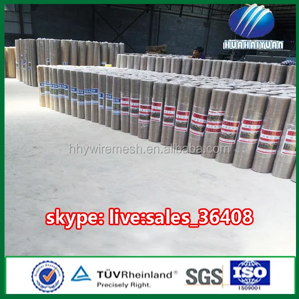 Alibaba China Anping factory direct supplier galvanized welded wire mesh in roll for bird cages