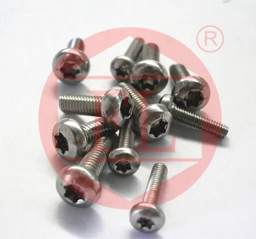 SS304/316 pan head torx screws