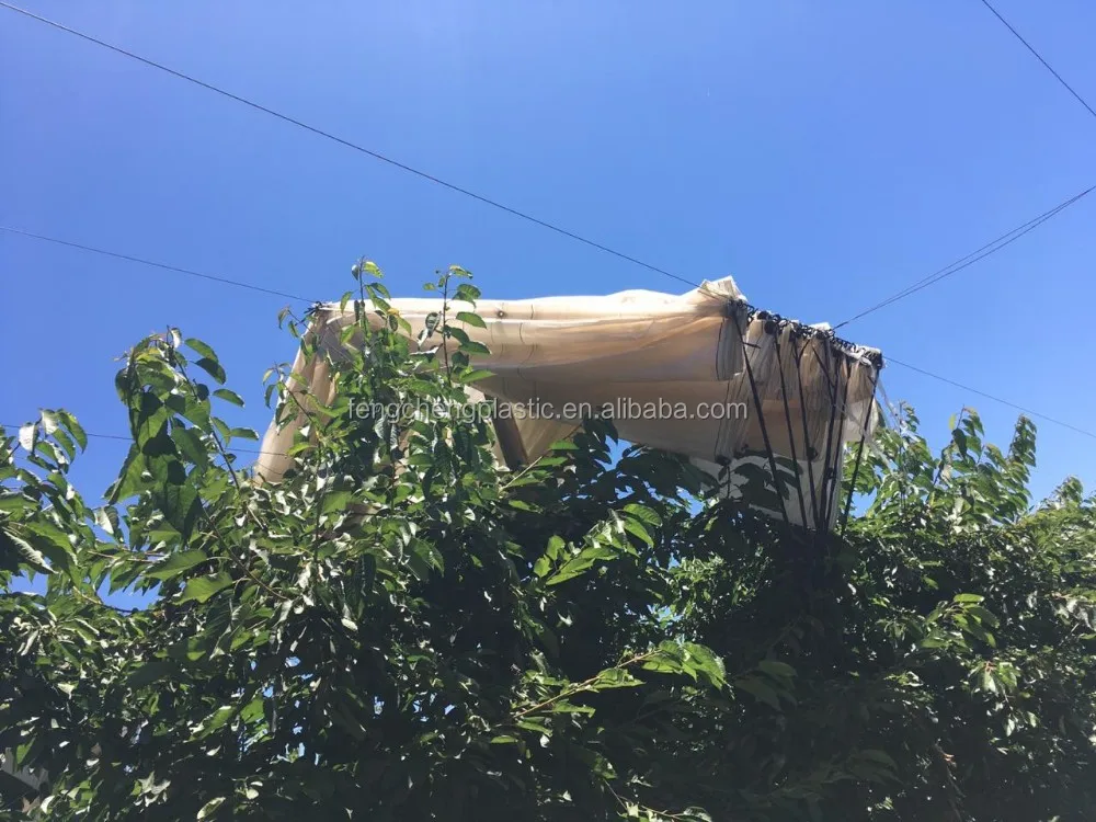 Столового винограда пластиковая крышка/покрытия лозы для виноград сельское хозяйство/винограда дождя Водонепроницаемый Чехол