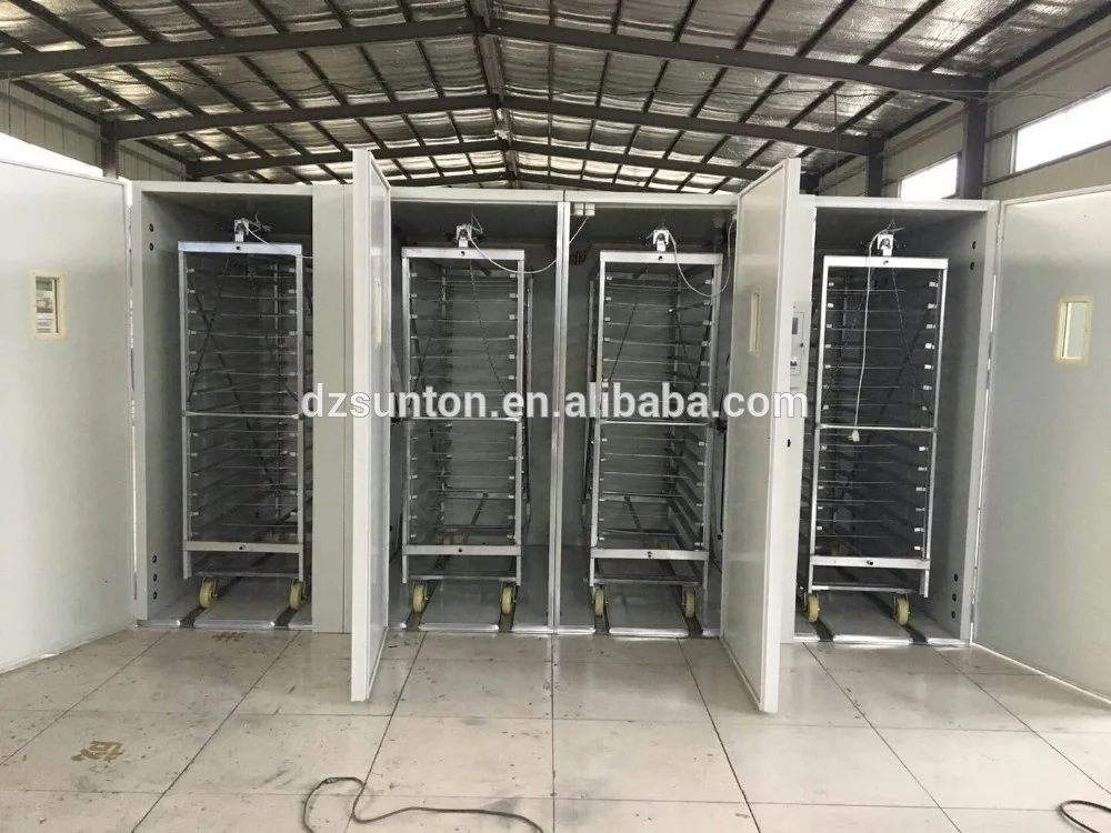 Large capacity automatic egg incubator and hatching