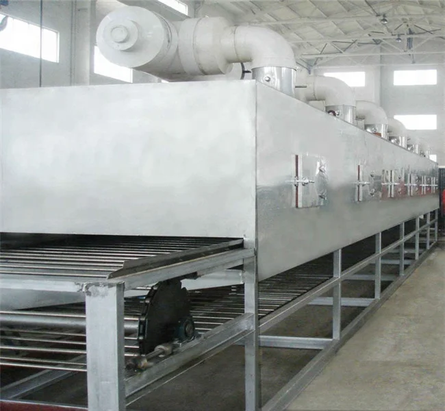DWT2-10-3 Series vegetable leafy conveyor mesh belt dryer