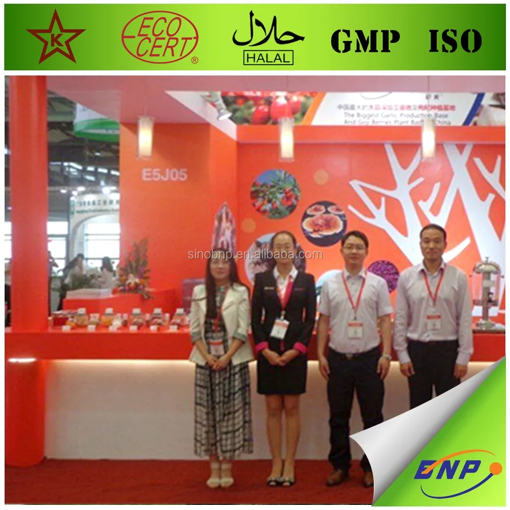 
Factory Supply allicin alliin odorless 100% Pure Garlic Extract /lipid powder oil 