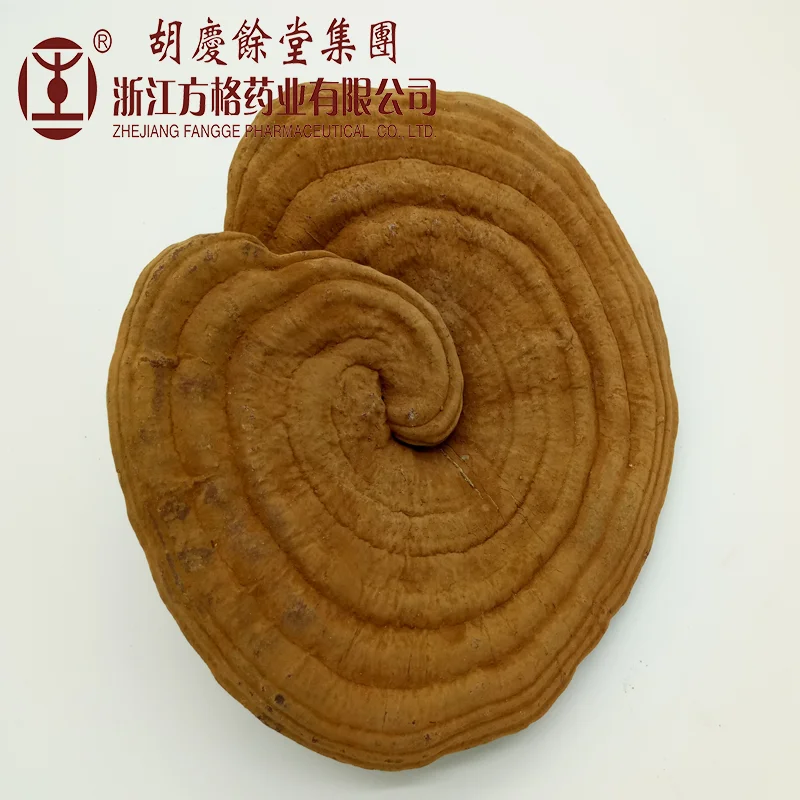 Organic( reishi mushroom )Ganoderma Lucidum Shell-Broken Spore Powder