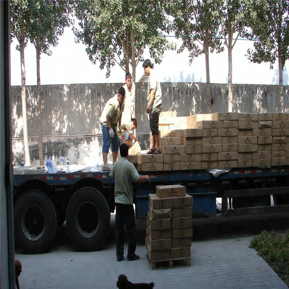 Модель черепа с шейным позвоночником медицинская анатомическая модель черепа