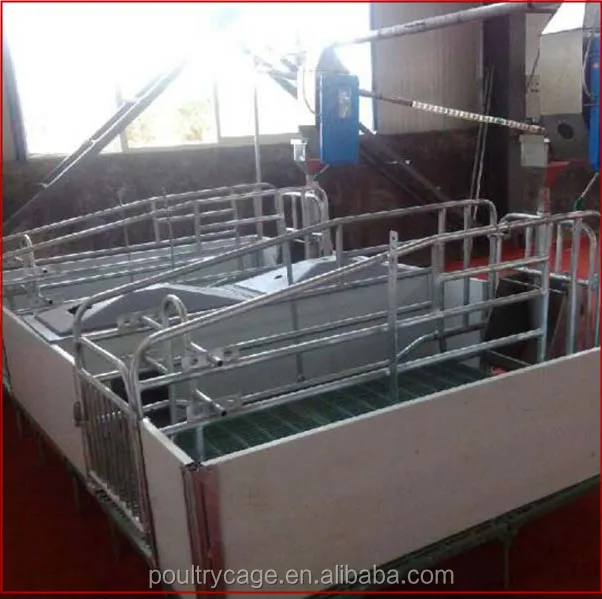 Wholesale Pig Feeding Equipment/Farrowing Crate For Sale