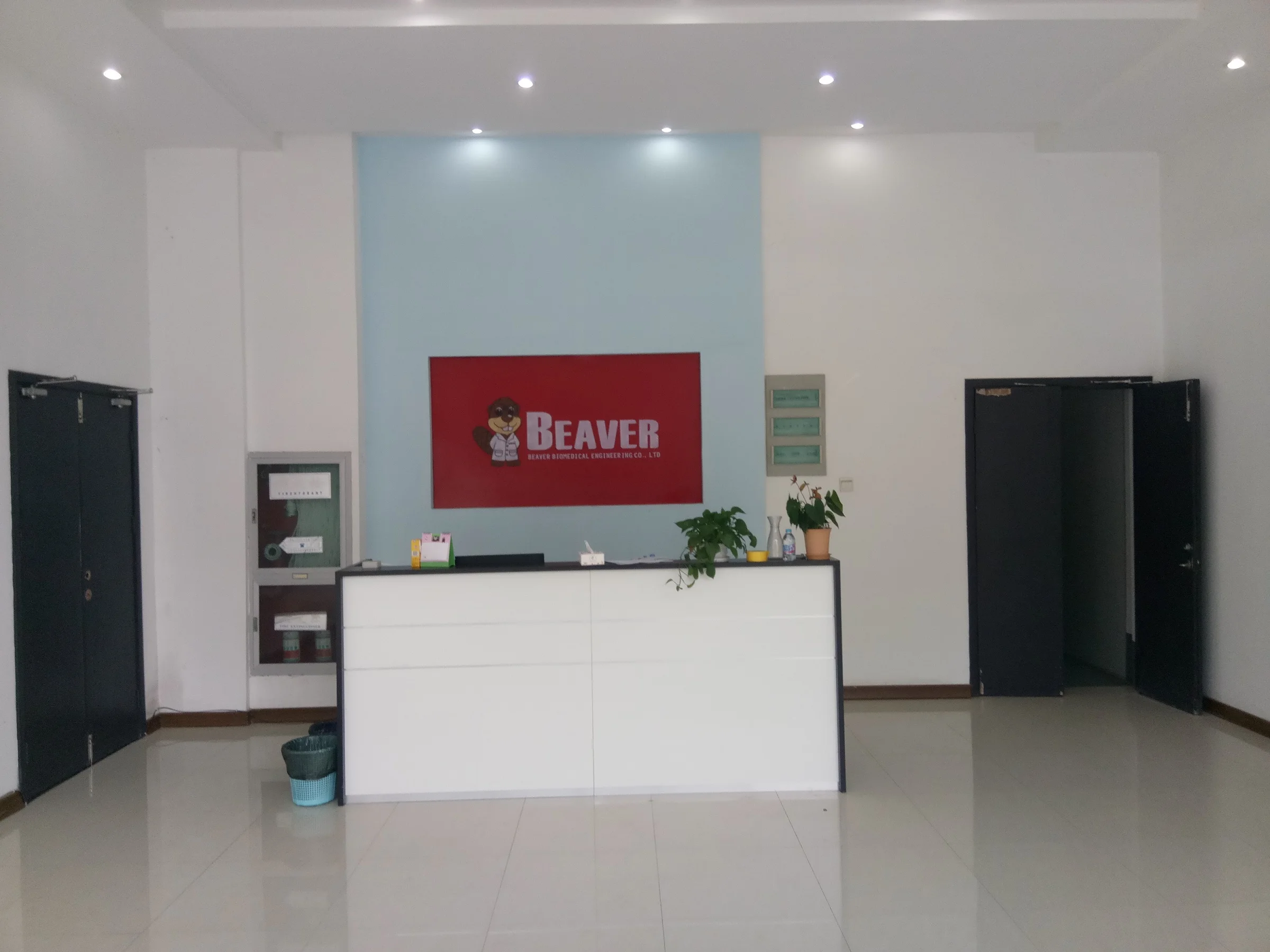 Disposable  plates sterile tissue culture treated cell culture dish for laboratory