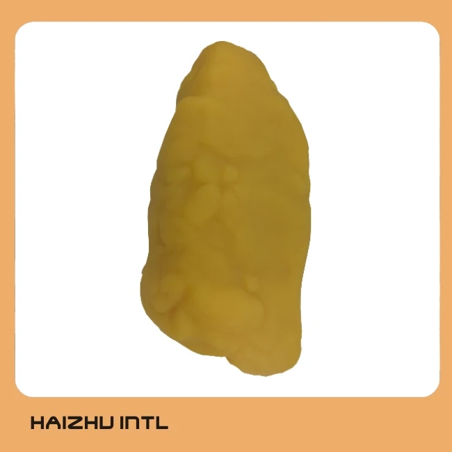 1KG Fat Model, Human Body Fat Anatomical Model for Education