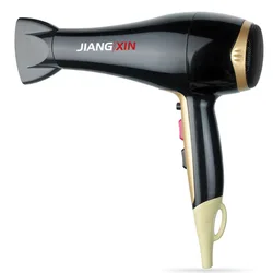 2020 New Strong Wind Fast Drying Hair Salon Equipment Blow Dryer Hair Dryer Professional