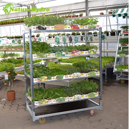 Decorative cc container cabriolet cart danish carts for sale