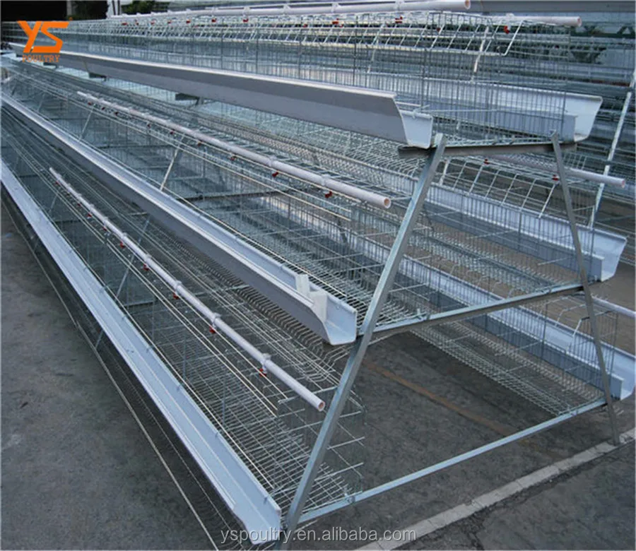 
fully automatic egg laying chicken poultry farm for sale in Ghana 