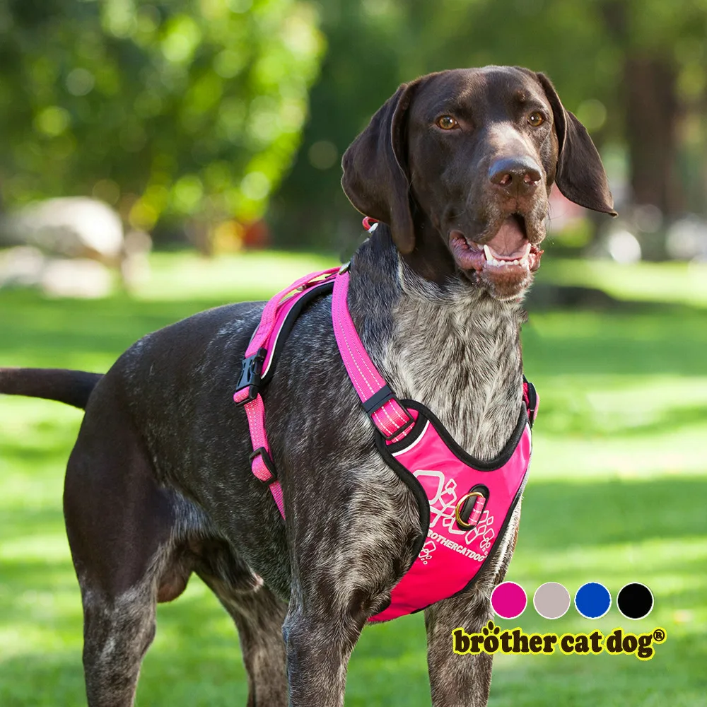 Service dog harness  Dog safety harness  Dog training equipment  Pet supplies   Pet products 2024