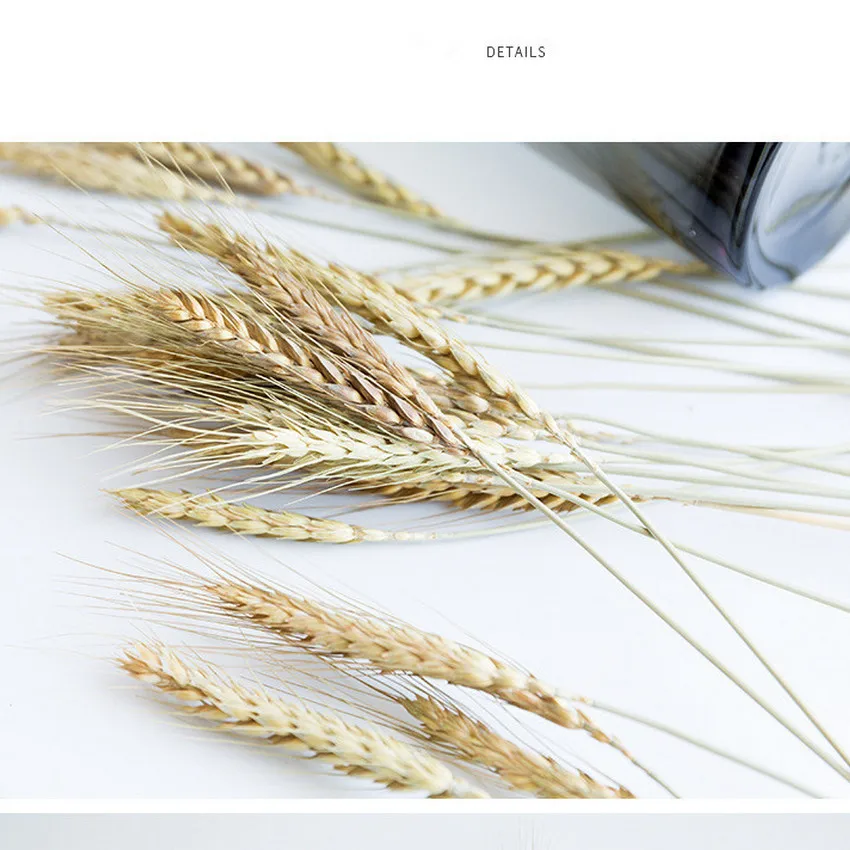 Plants Decoration Artificial Dires Flower Pure Natural Ear Of Wheat