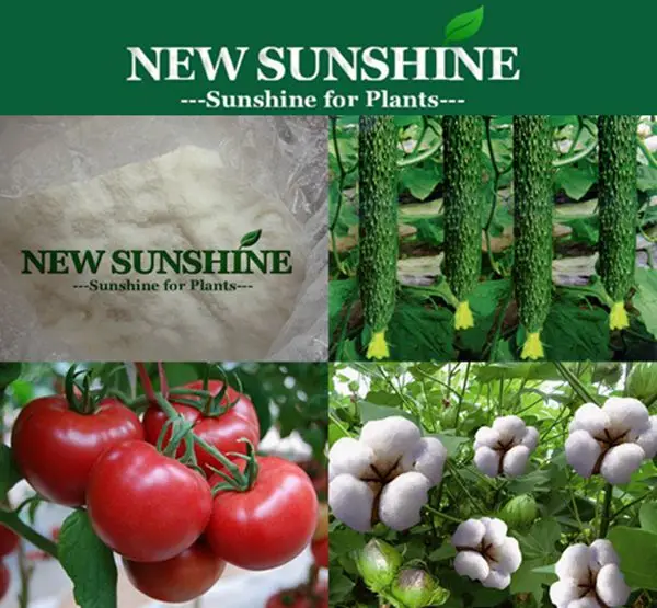 Mepiquat Chloride organic agricultural chemicals