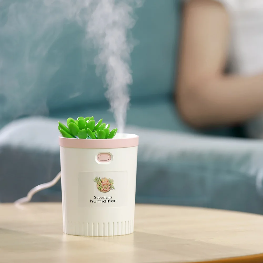 Newly products unique design air succulents humidifier for home decoration or office