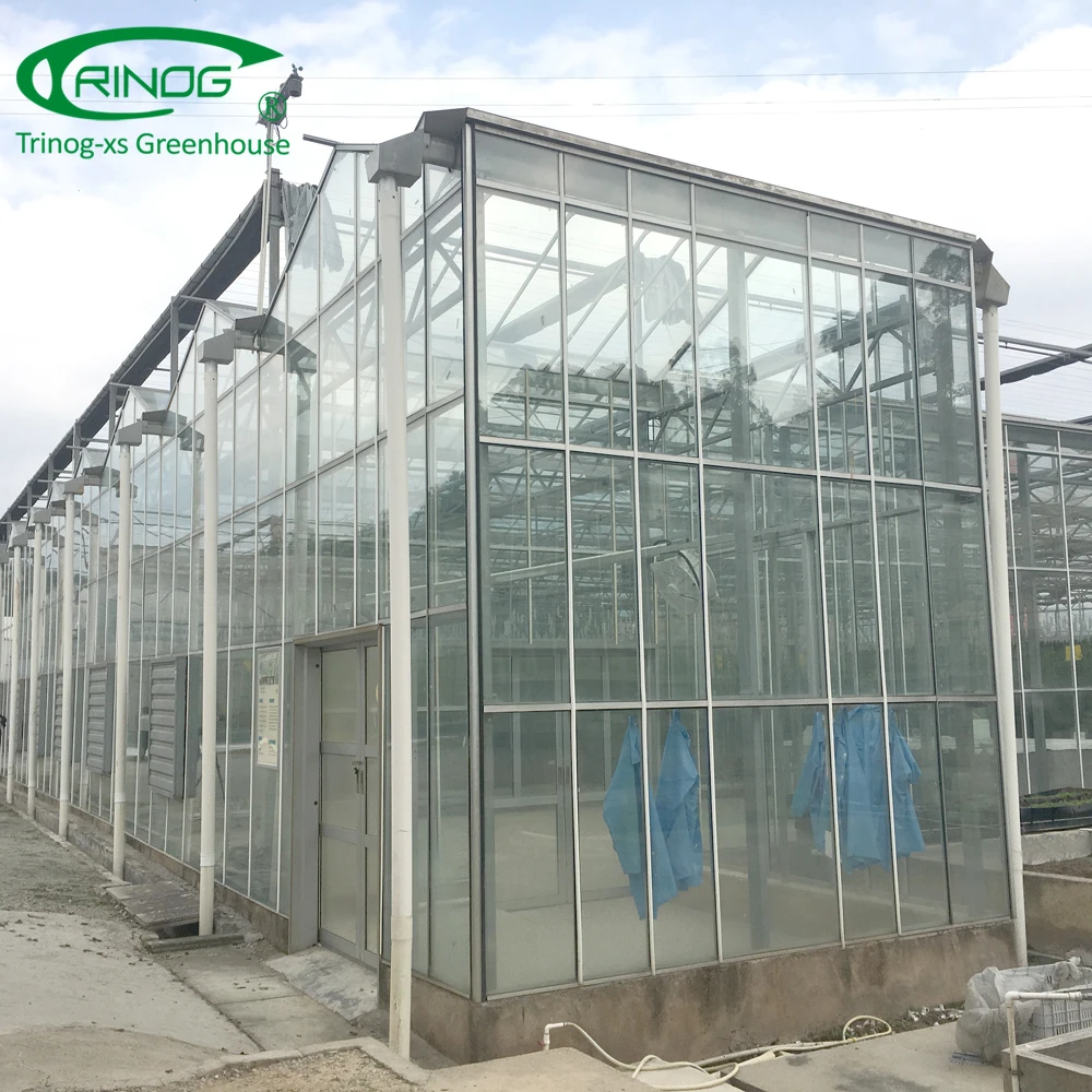 Dutch type glass covered greenhouse hydroponics system for vegetable