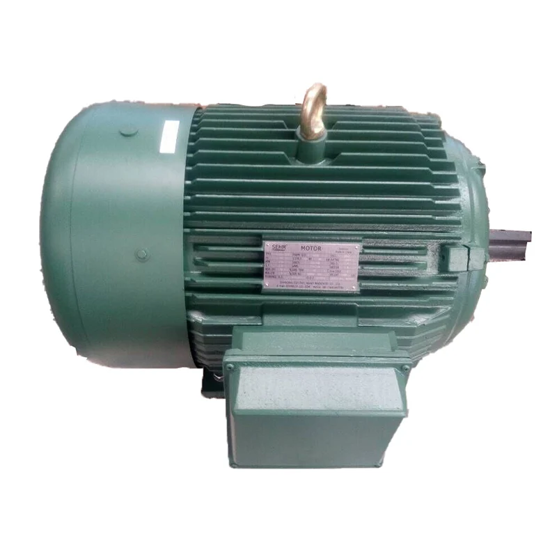 Бесщеточный постоянный магнитный двигатель постоянного тока 7 кВт 7,5 кВт 8 кВт 10 кВт 12 кВт 72 В постоянного тока 144 В постоянного тока