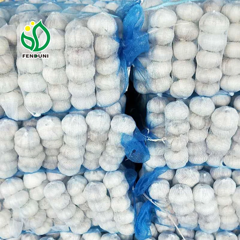 
Garlic for Export and Import (Bangladesh, Sri Lanka market) 