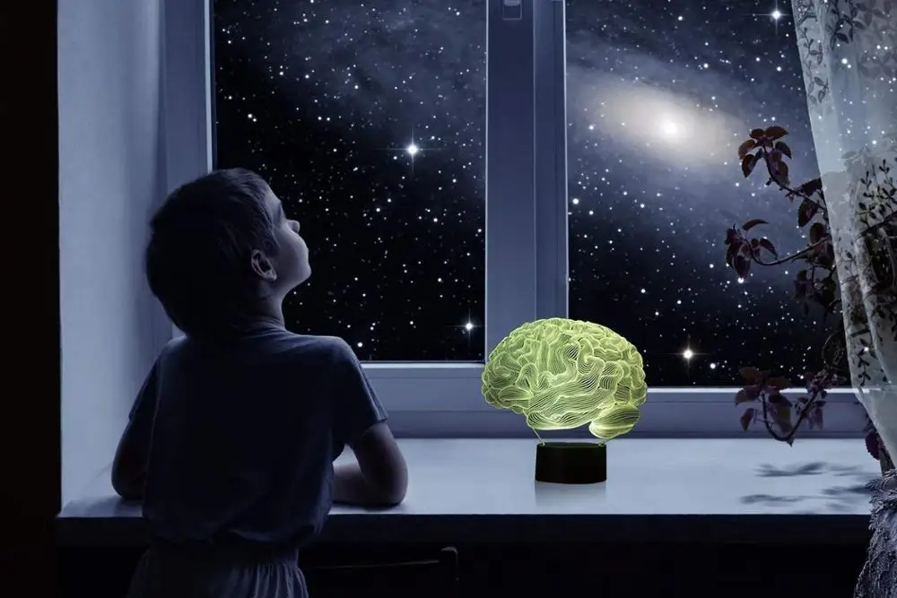 Brain 3D Illusion Christmas Decorations Lamp Night Light 7 Color Changing Table Desk Lamps Birthday Present