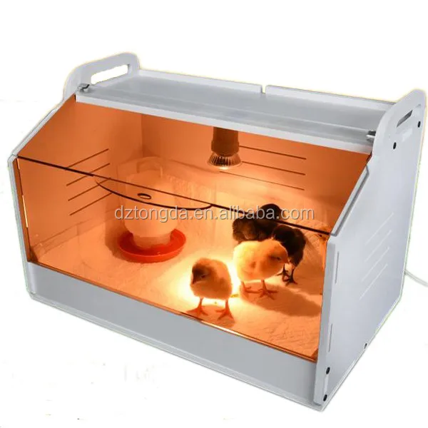 Professional professional chicken brooder box with CE certificate full automatic poultry/bird/quail brooder